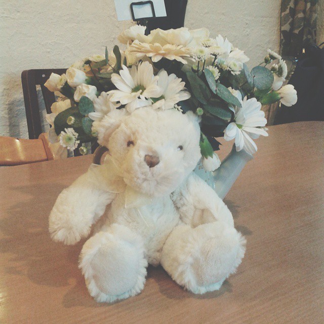cosatto flowers and teddy