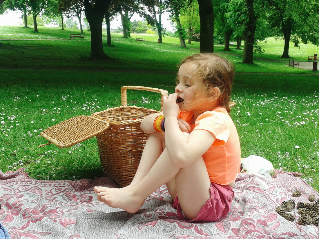 summer picnics