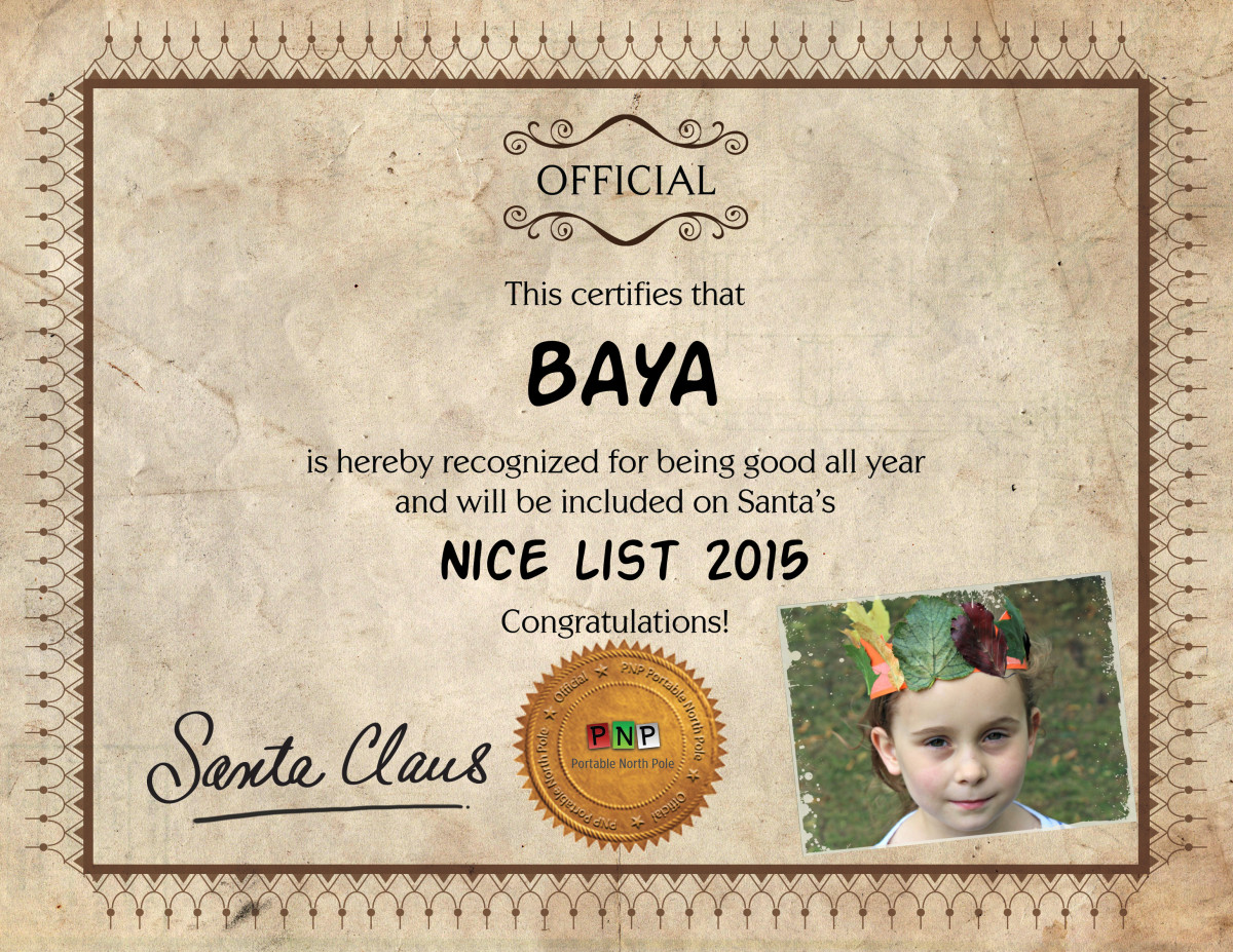baya nice certificate