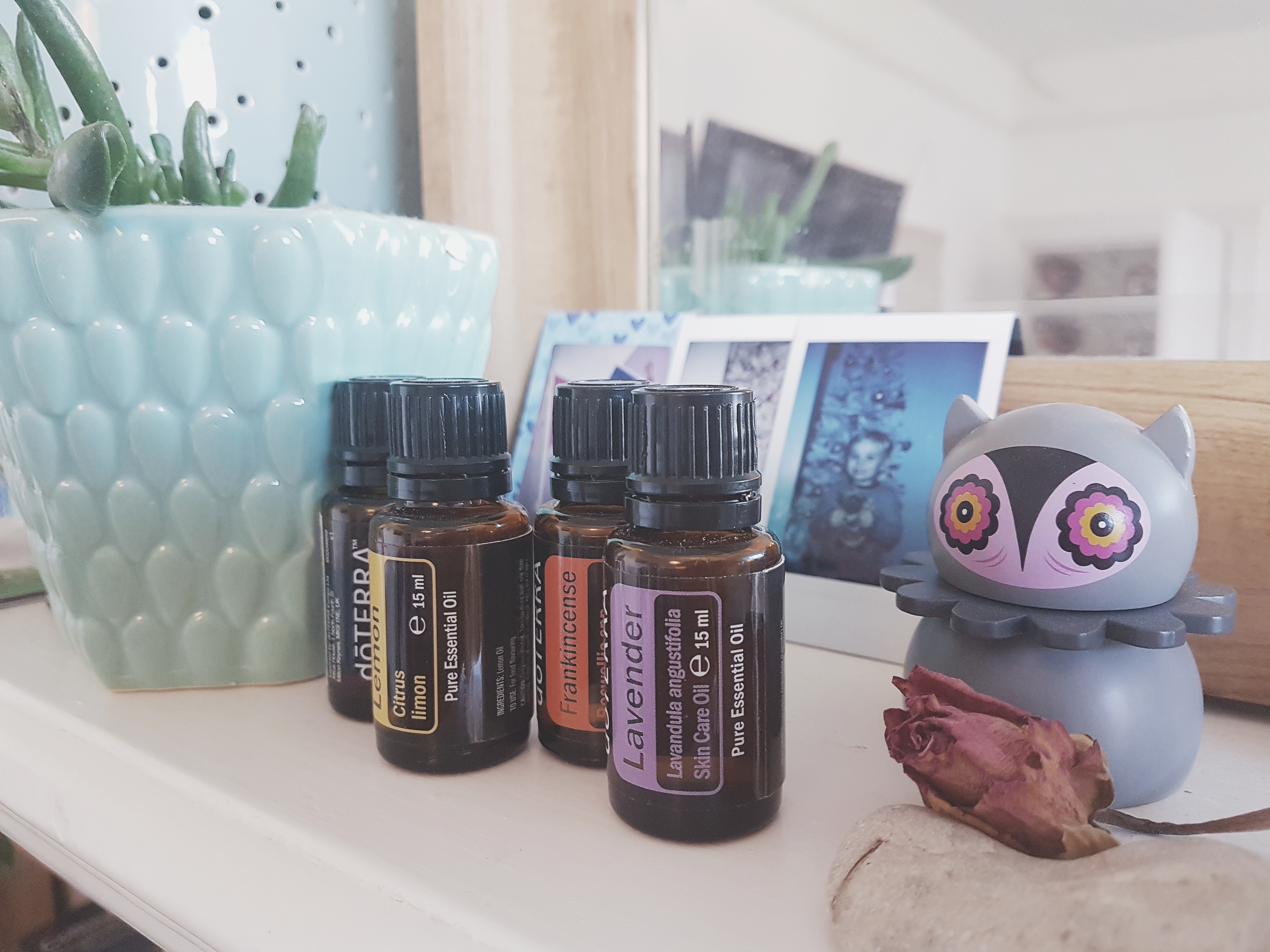 My favourite five Essential Oils I use for my family