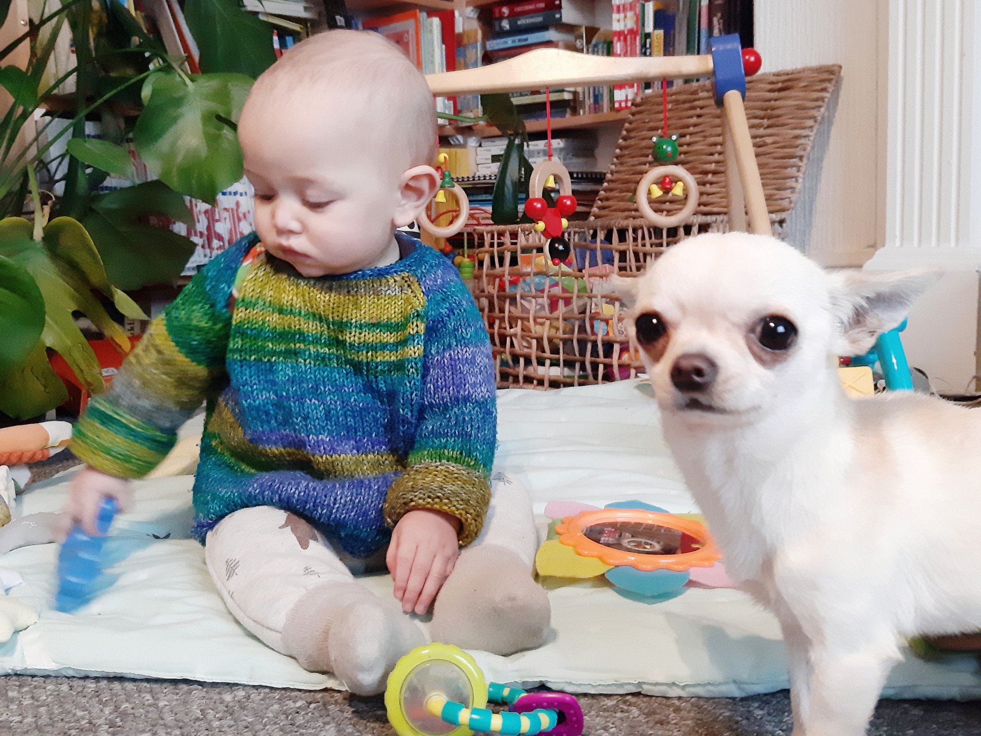 baby and pup sit playing together