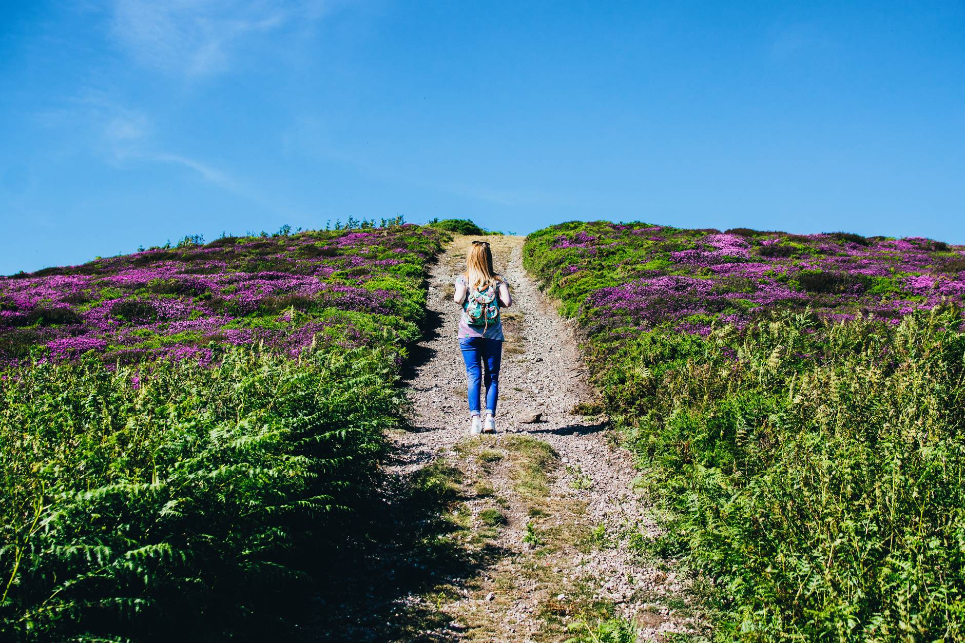 woman walking alone in between purple flower field