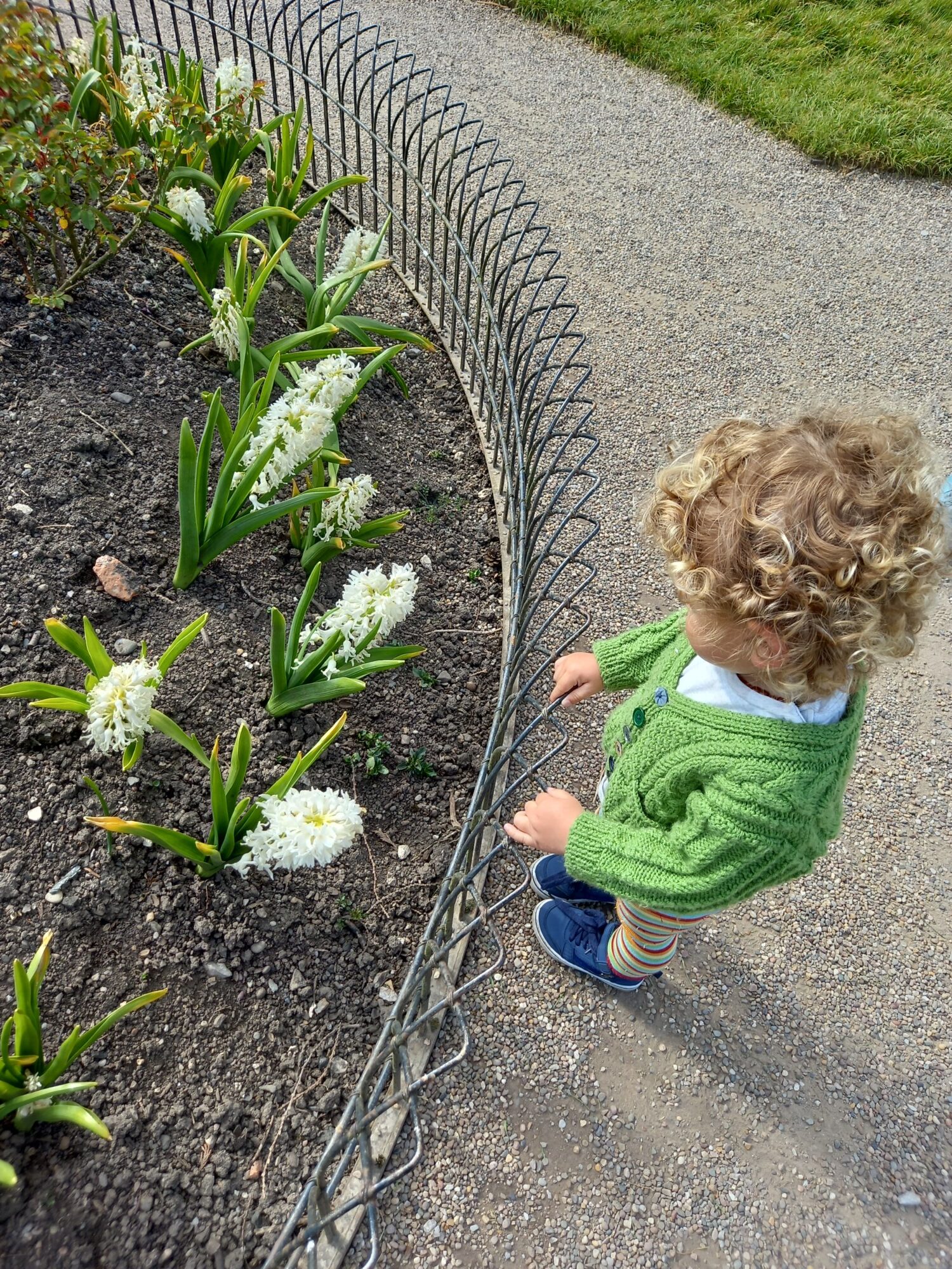spring flowers toddler outdoors sunshine