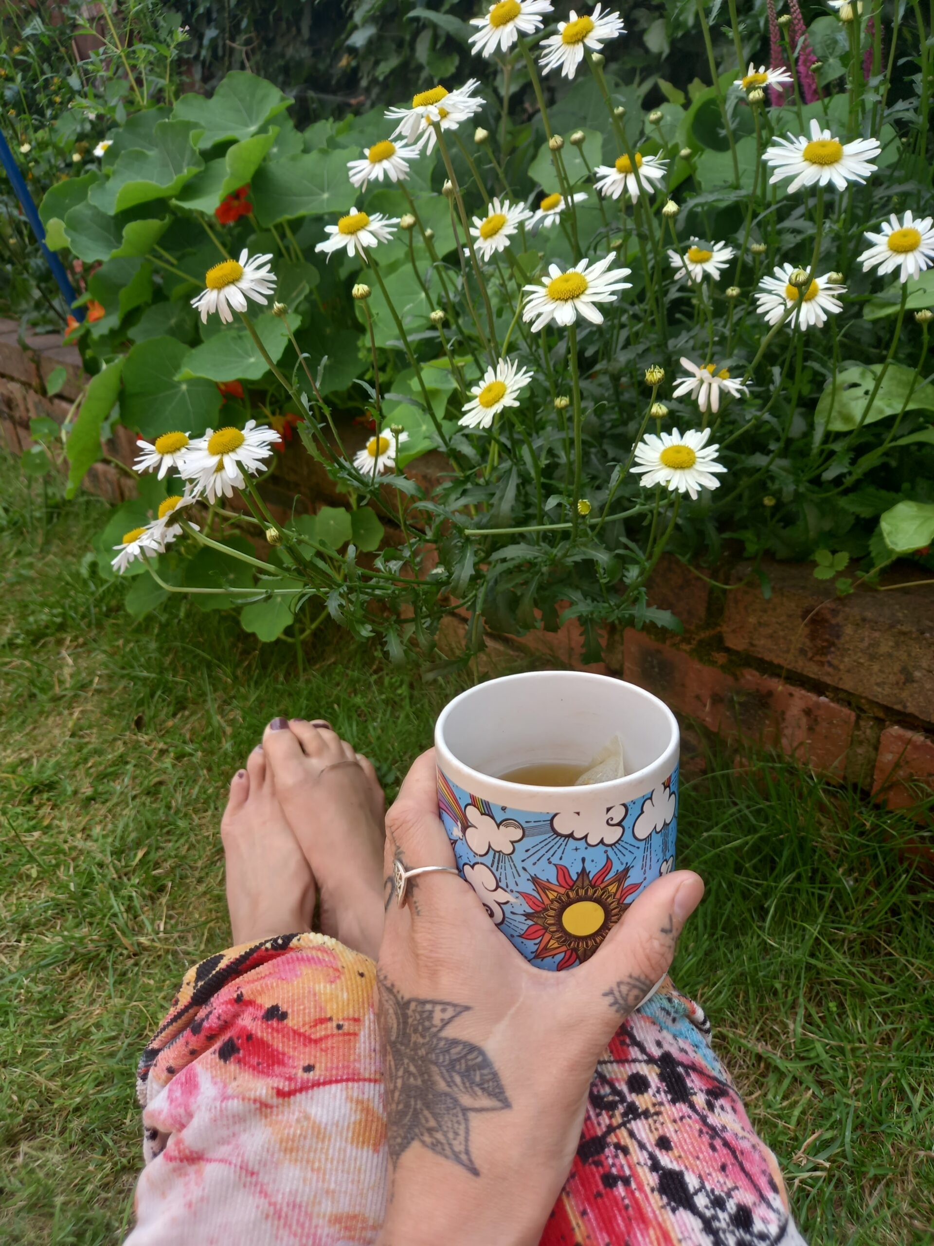 daisies, chamomile tea, lucy & yaks, moments peace,five minutes peace, gardeb, barefoot