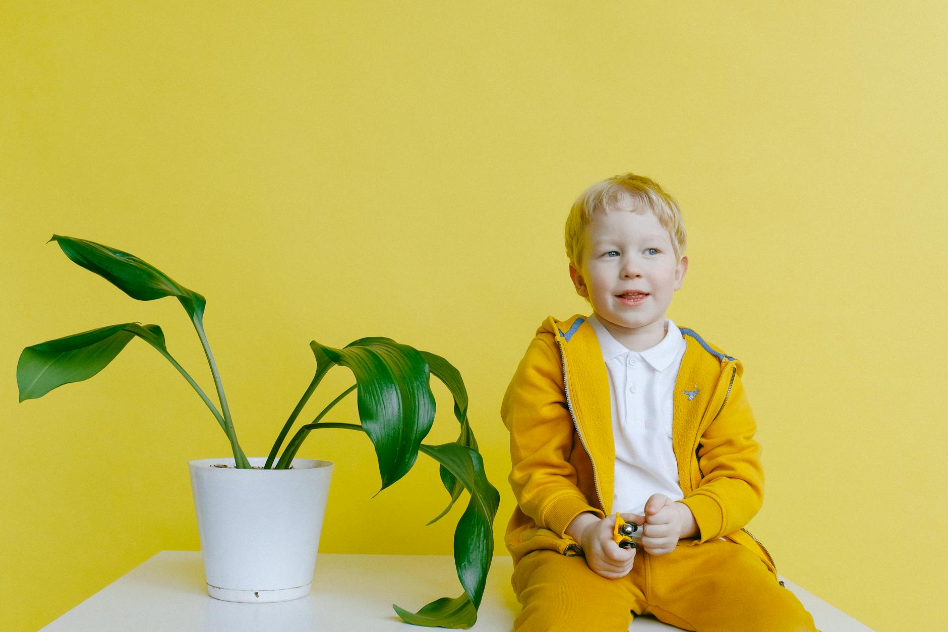 young boy sitting beside flower pot