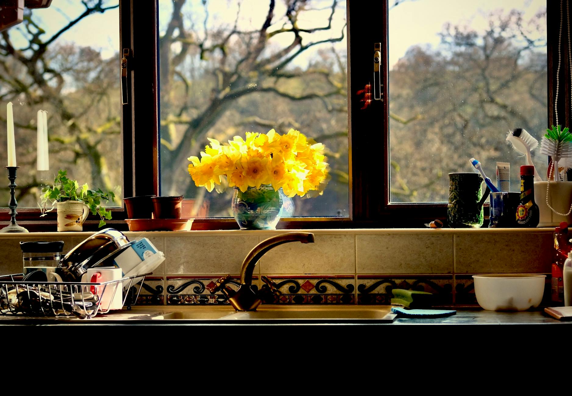 cheerful kitchen window view with daffodils