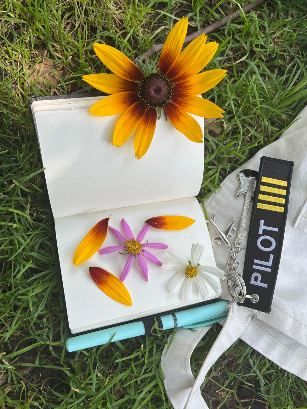 colorful journal with flowers on grass