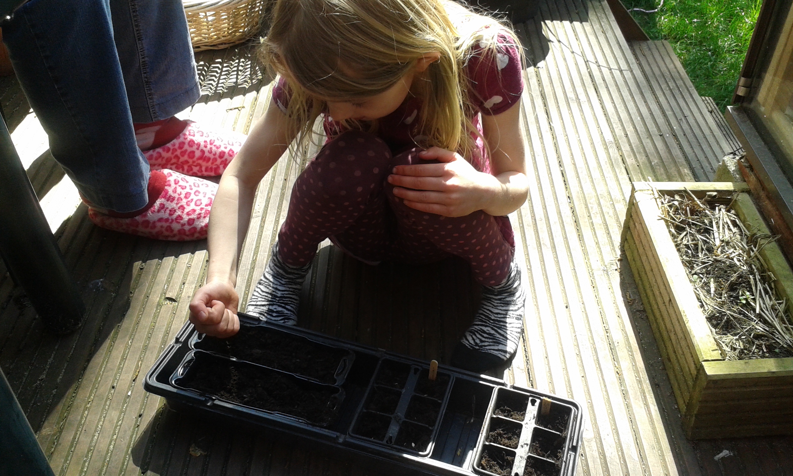 sowing seeds