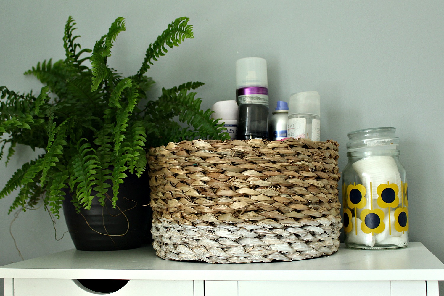 ferns and baskets