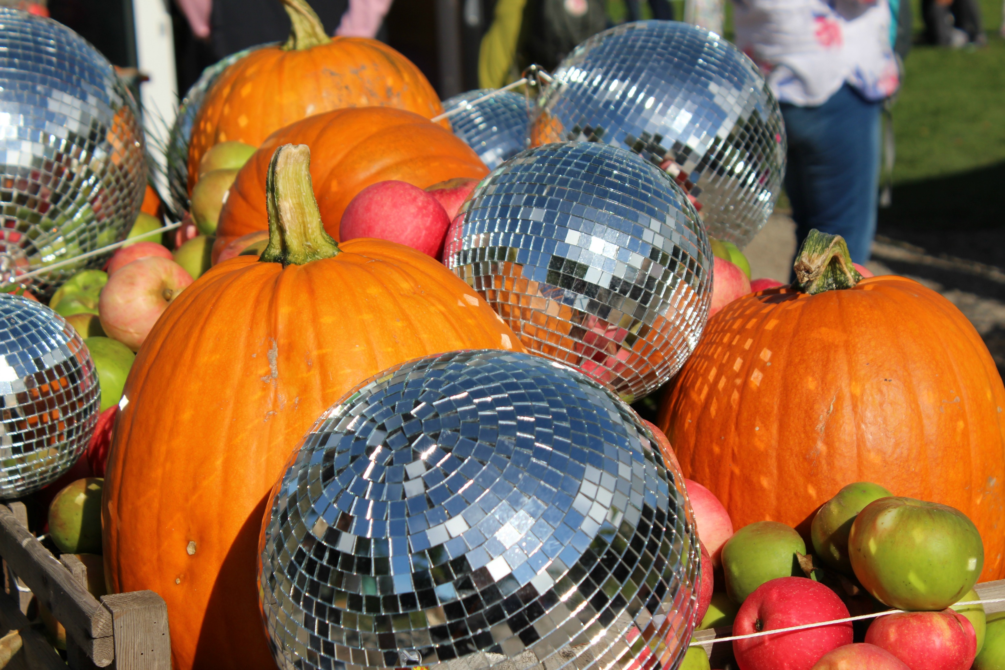 disco-balls-and-pumpkins-good-life-experience-61