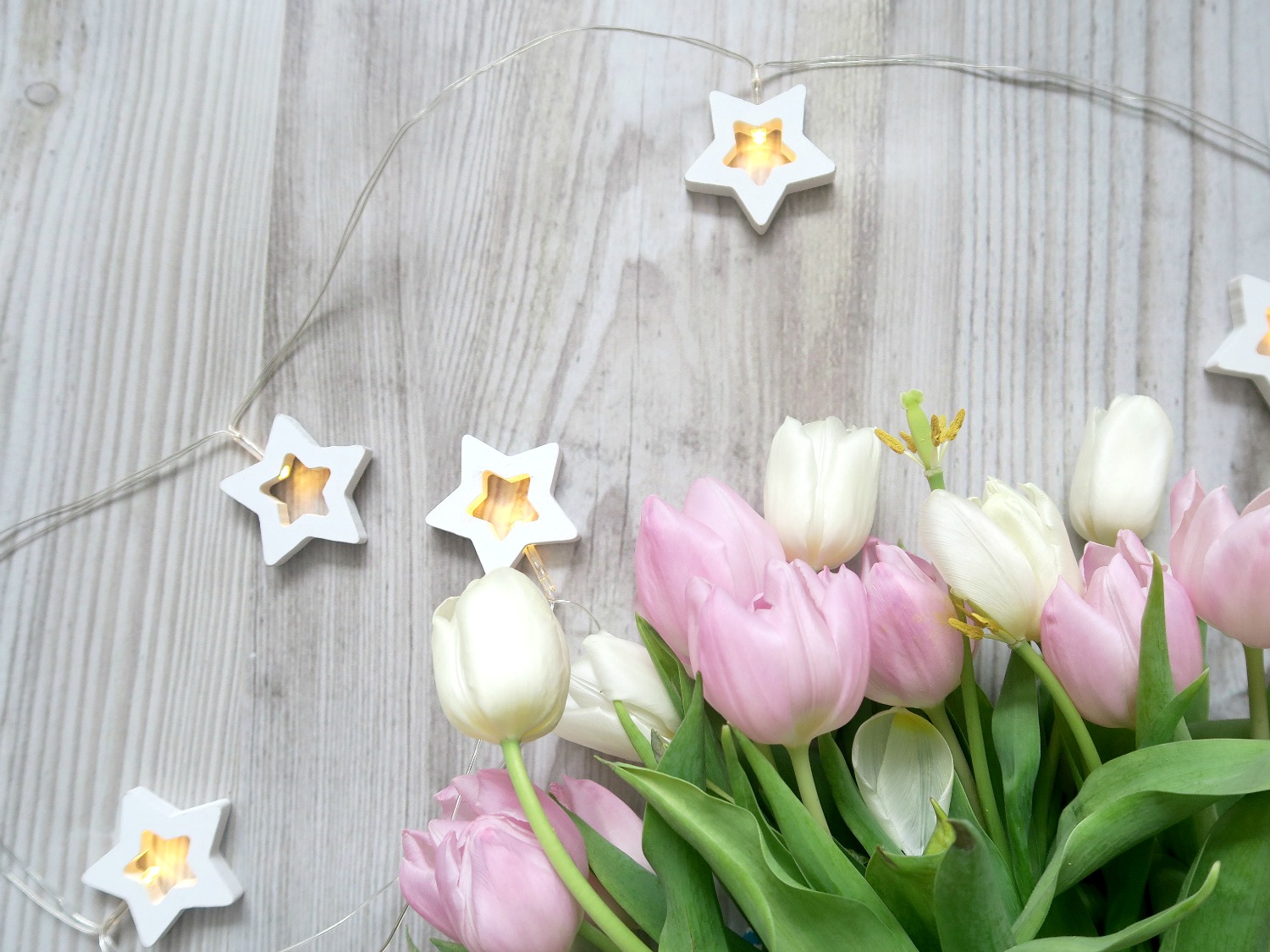 tulips-friday-finds-enchanted-pixie
