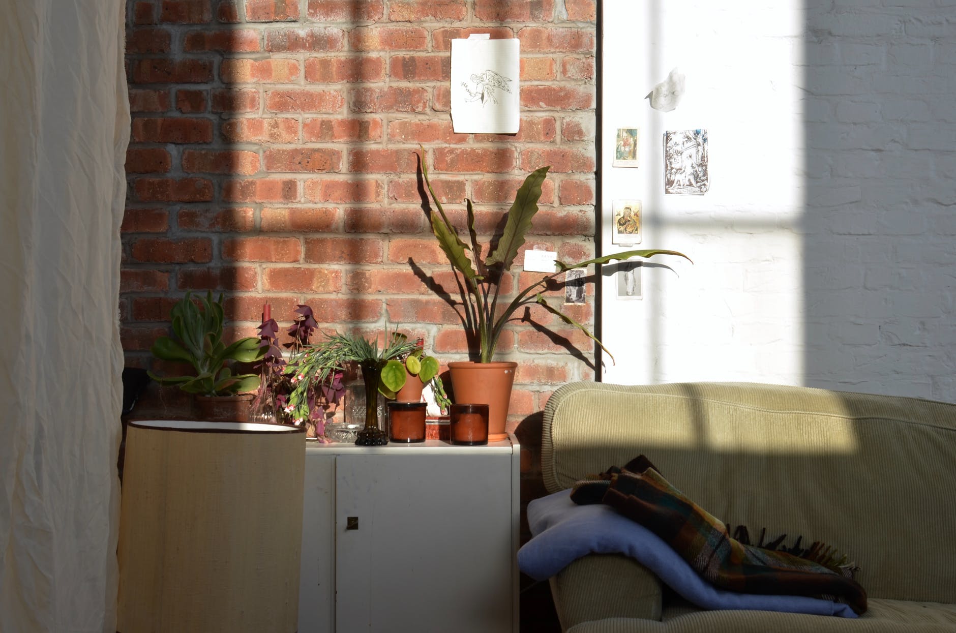 interior of apartment with potted plants on cupboard near sofa