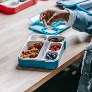 10 Tips to Create Sustainable Packed Lunches for You and Your kids