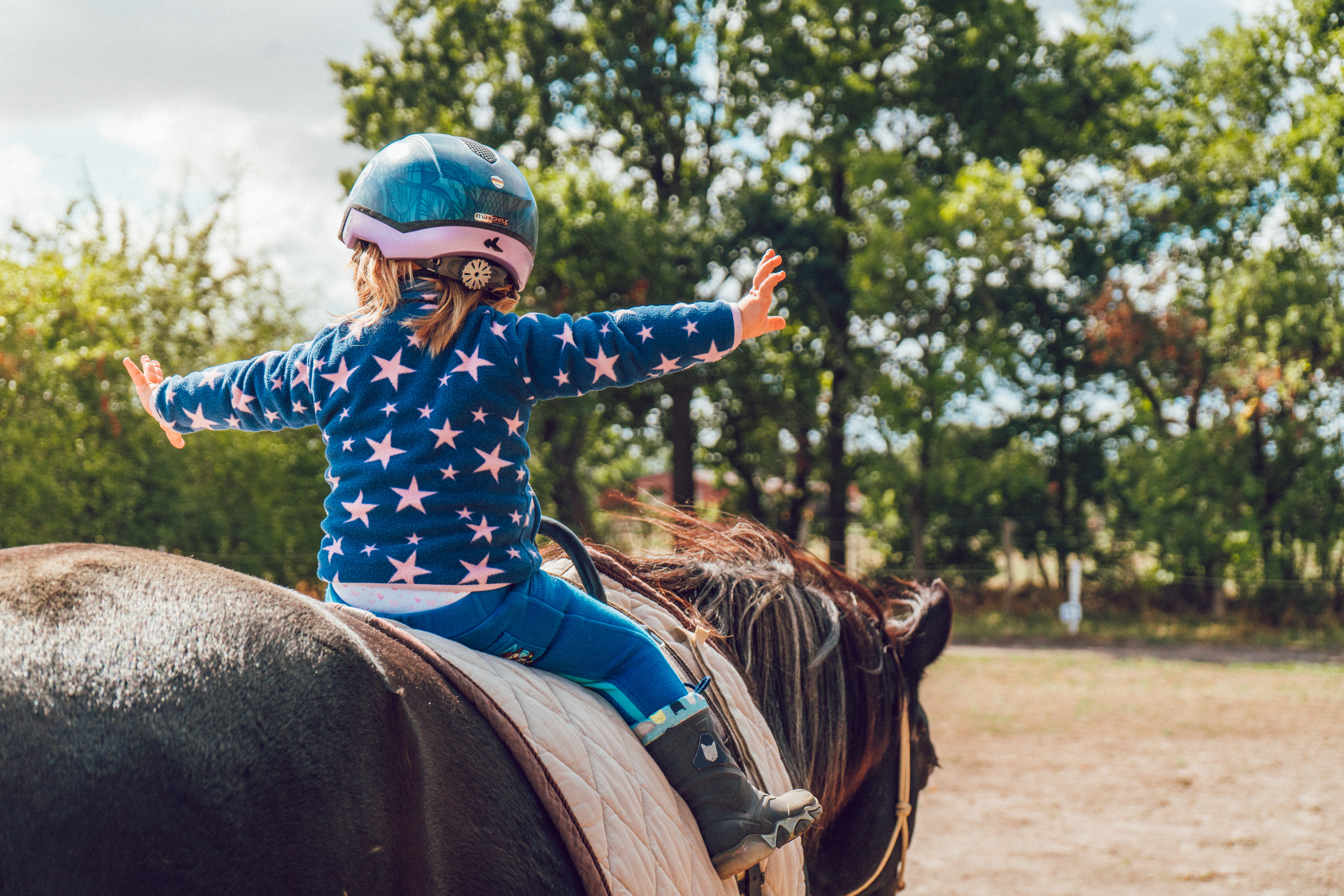4 Things First-Time Horse Owners Should Know
